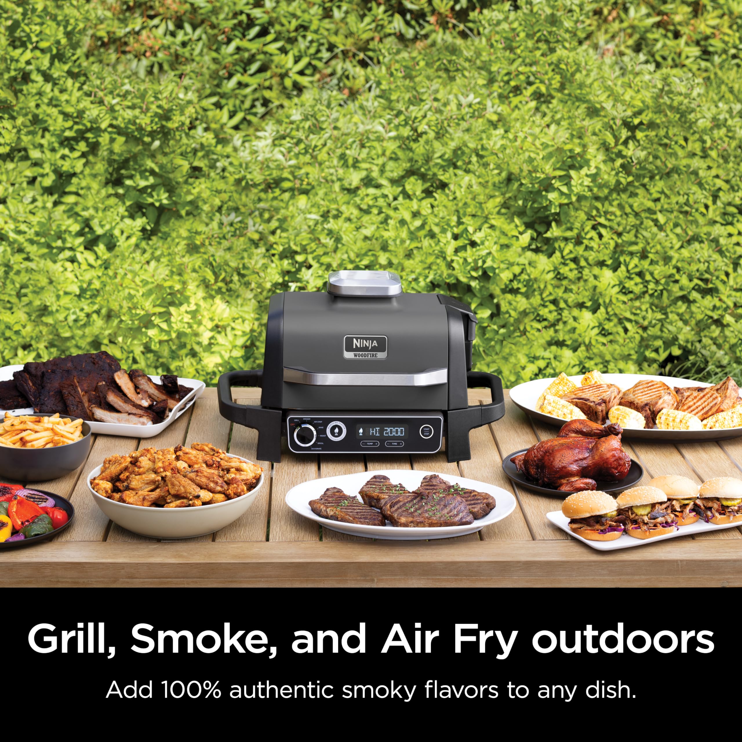 Ninja Outdoor Electric Grill & Smoker
