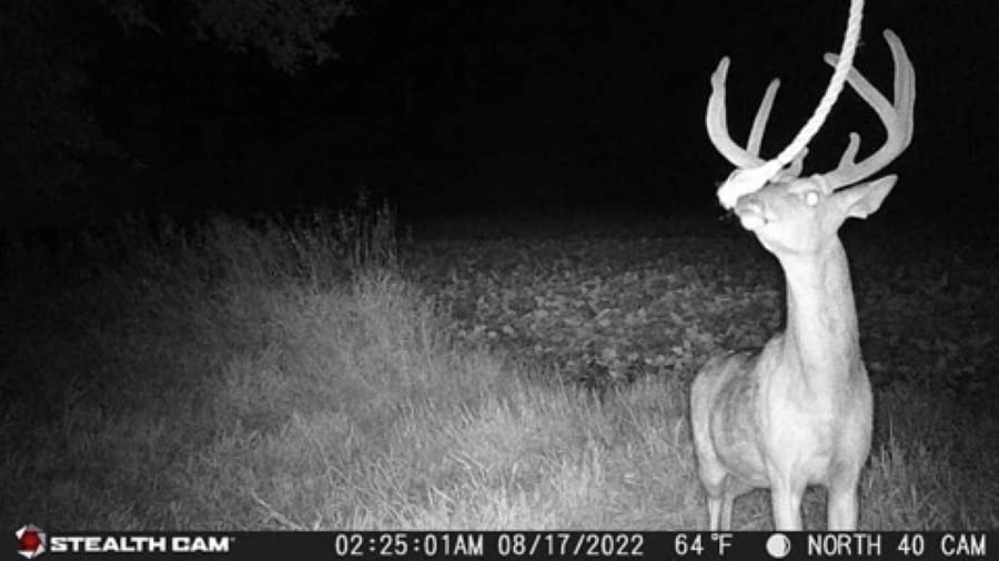 Stealth Cam Prowler Trail Camera 16MP Combo Pack