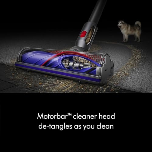 Dyson V8 Cordless Vacuum Cleans Hard Floors and Carpets