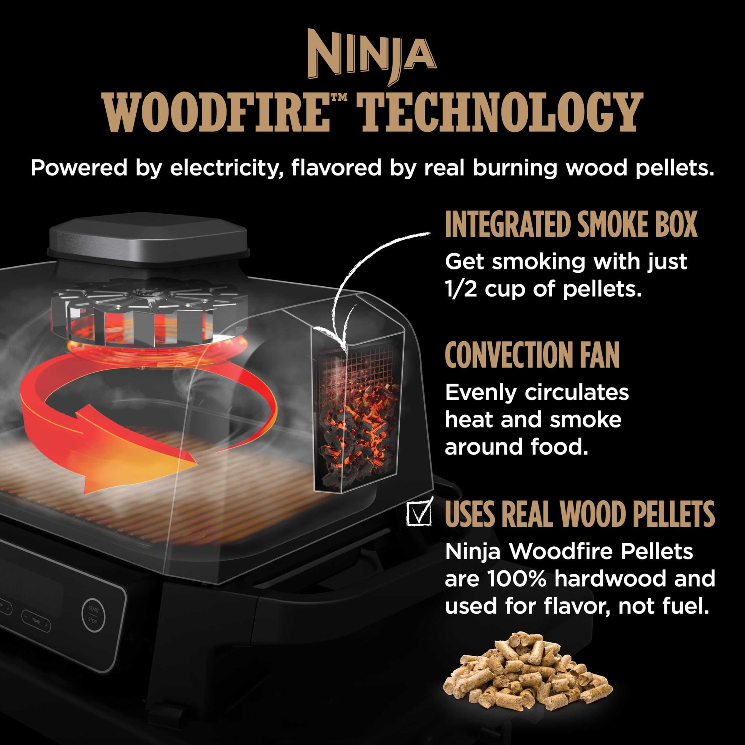 Ninja Outdoor Electric Grill & Smoker