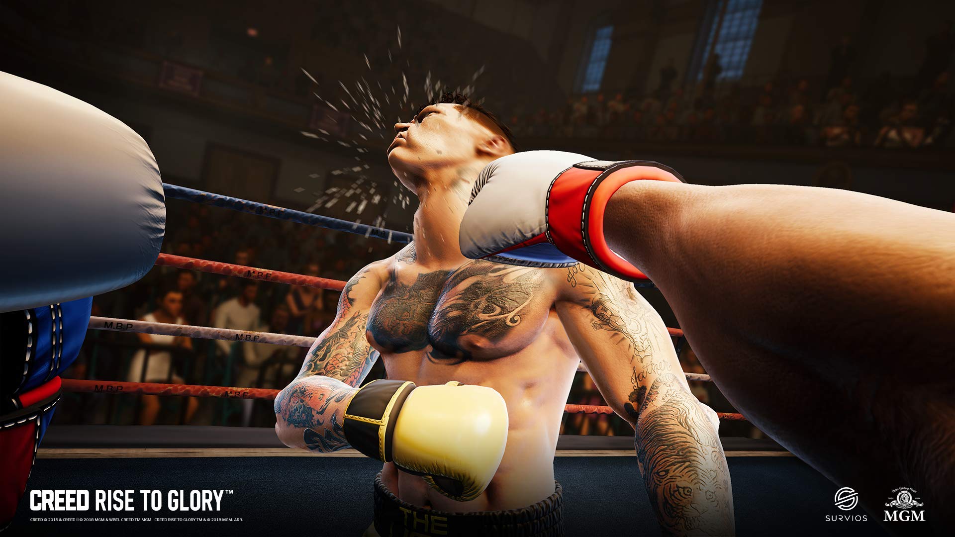 Creed: Rise to Glory (PSVR) (PS4)