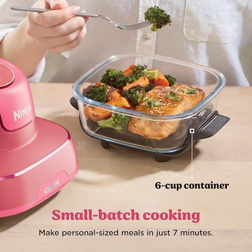 Ninja Crispi Air Fryer