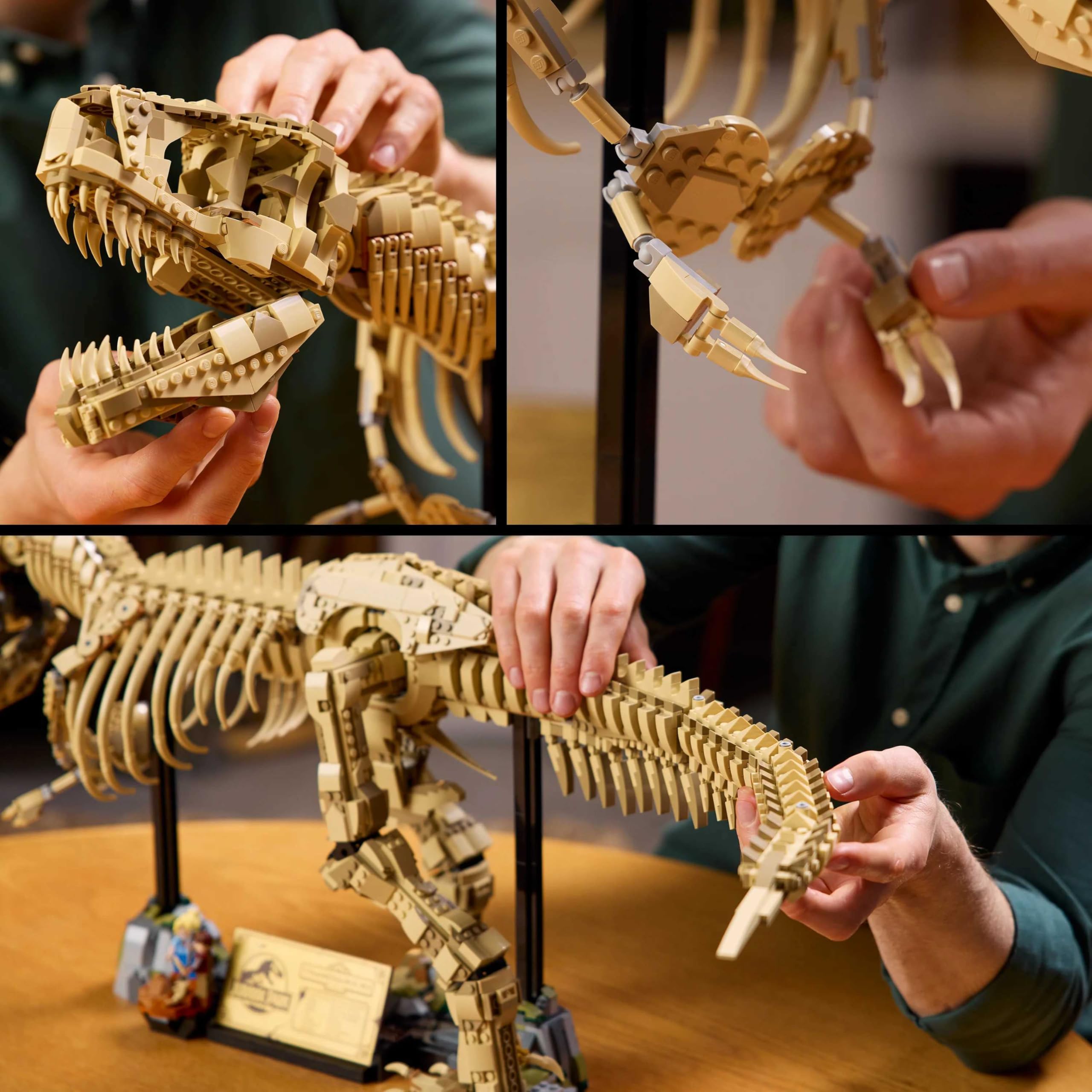 LEGO 76968 Dinosaur Fossil T-Rex