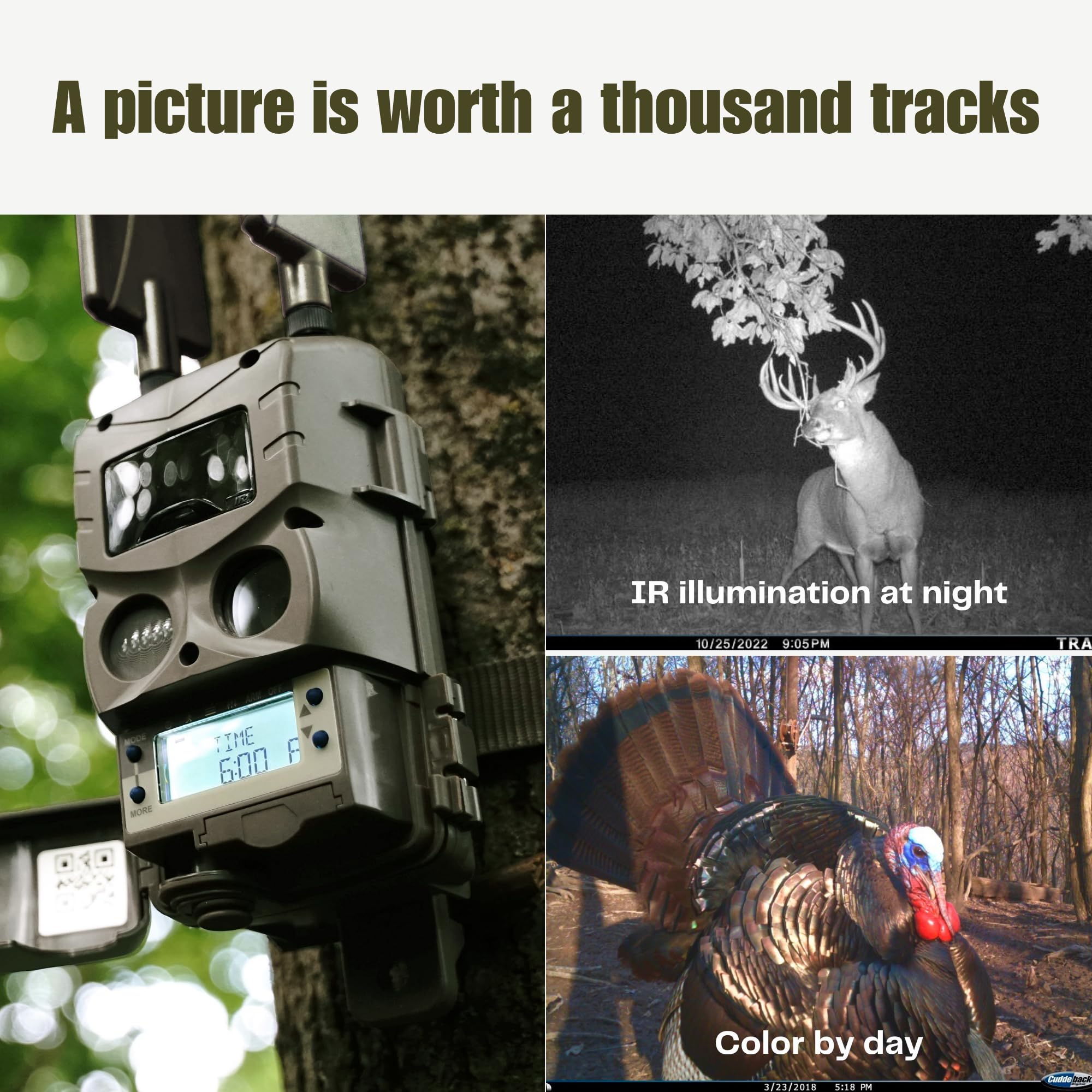 Cuddeback Tracks Trail Camera