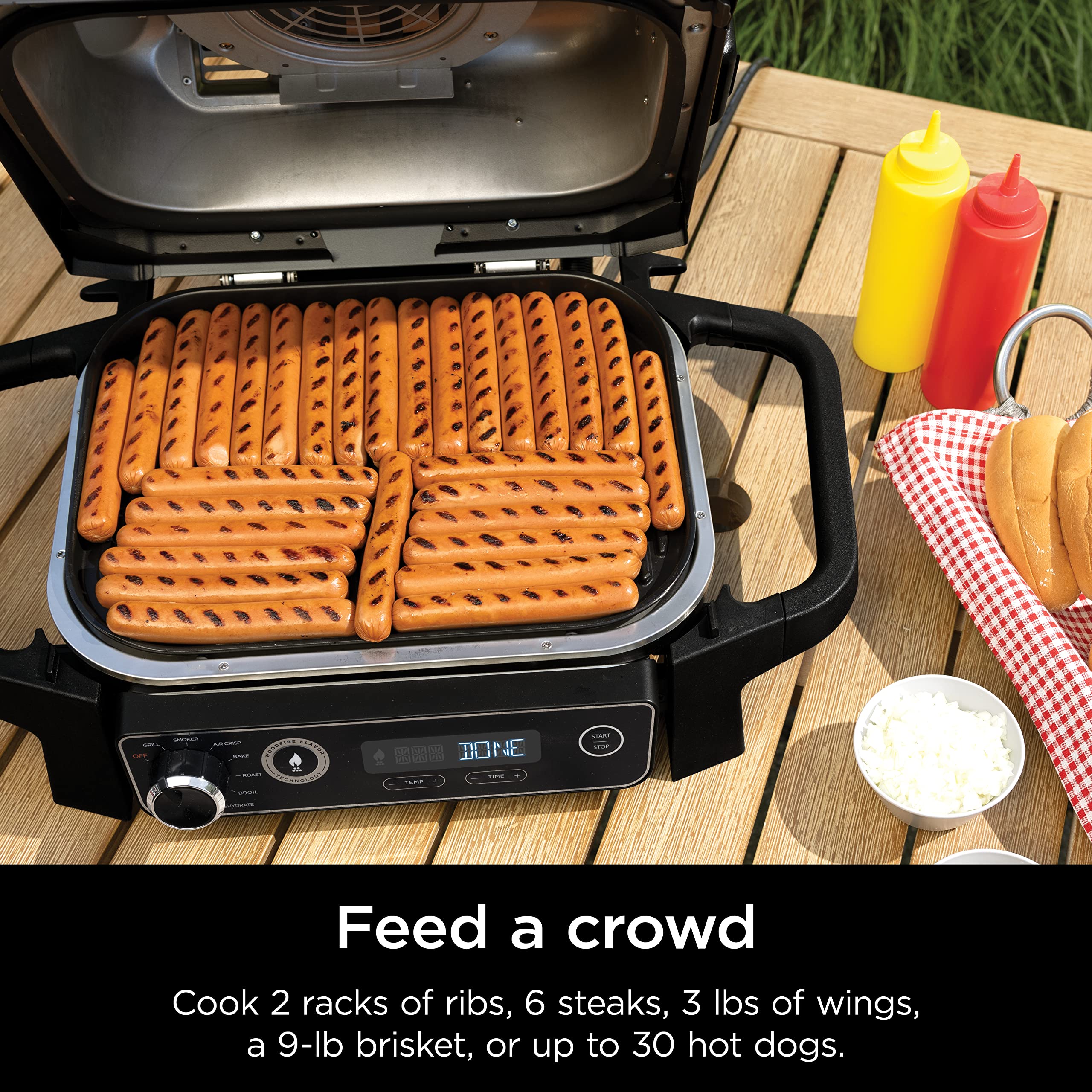Ninja Outdoor Electric Grill & Smoker