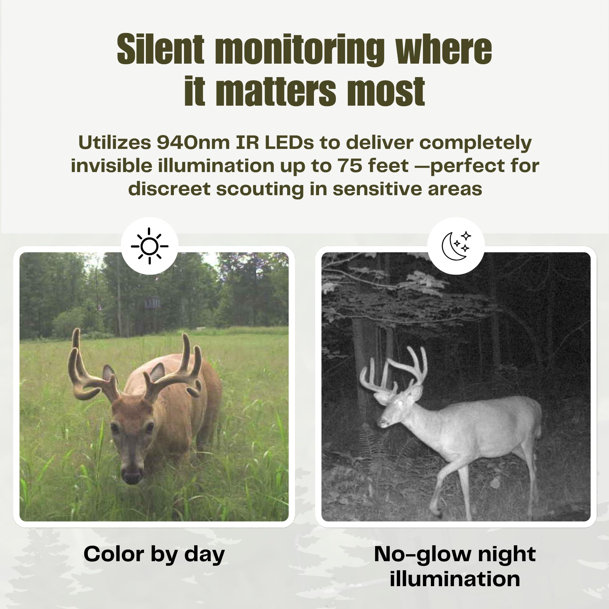 Cuddeback CuddeLink Cameras for Wildlife, Outdoor Game & Property Security Monitoring