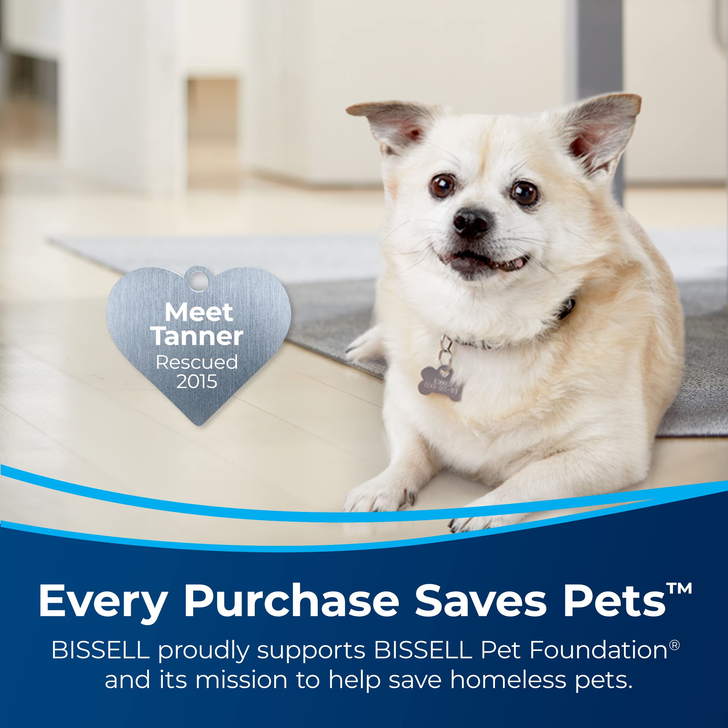 Bissell Pet Stain Eraser PowerBrush