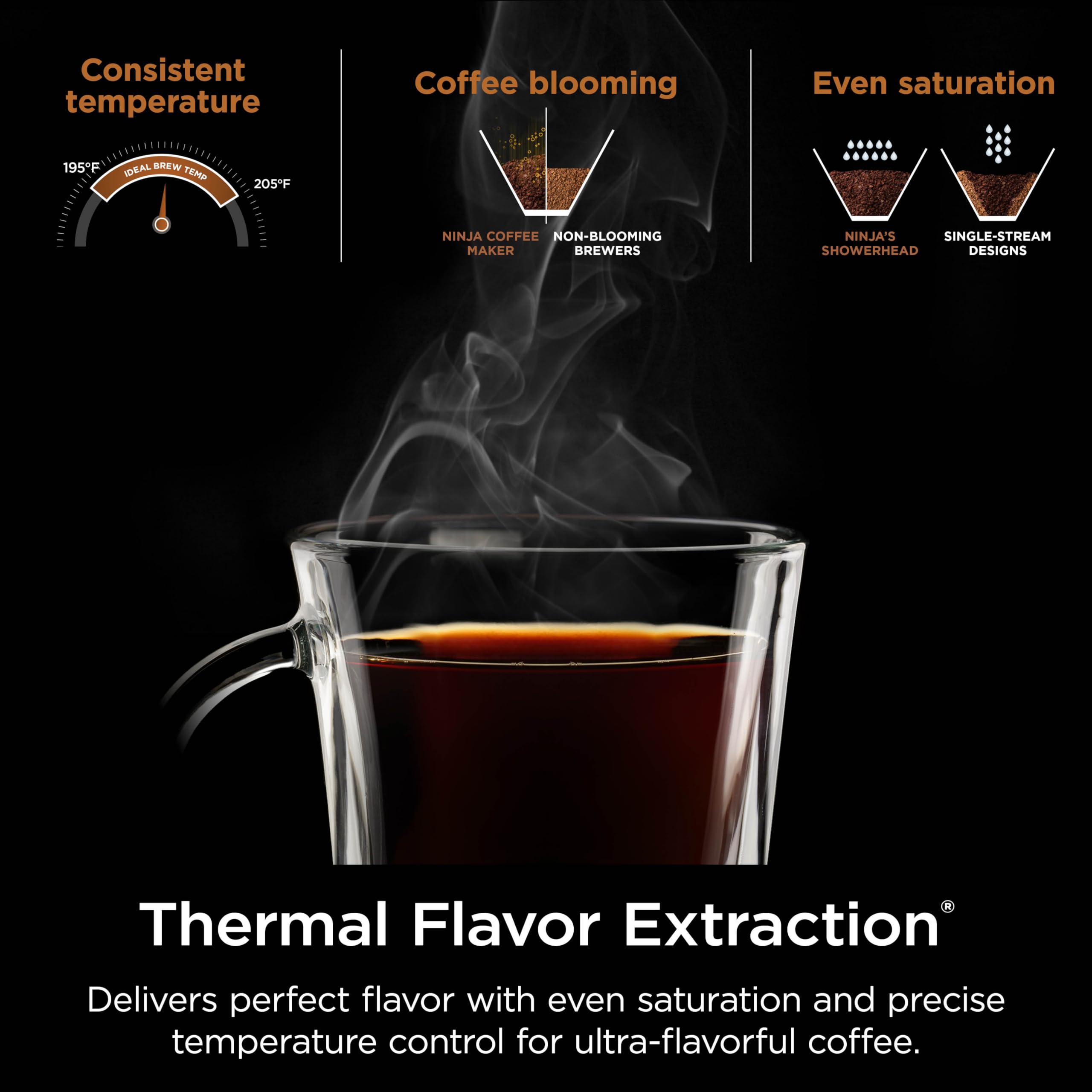 Ninja Specialty Coffee Maker Hot & Iced Coffee