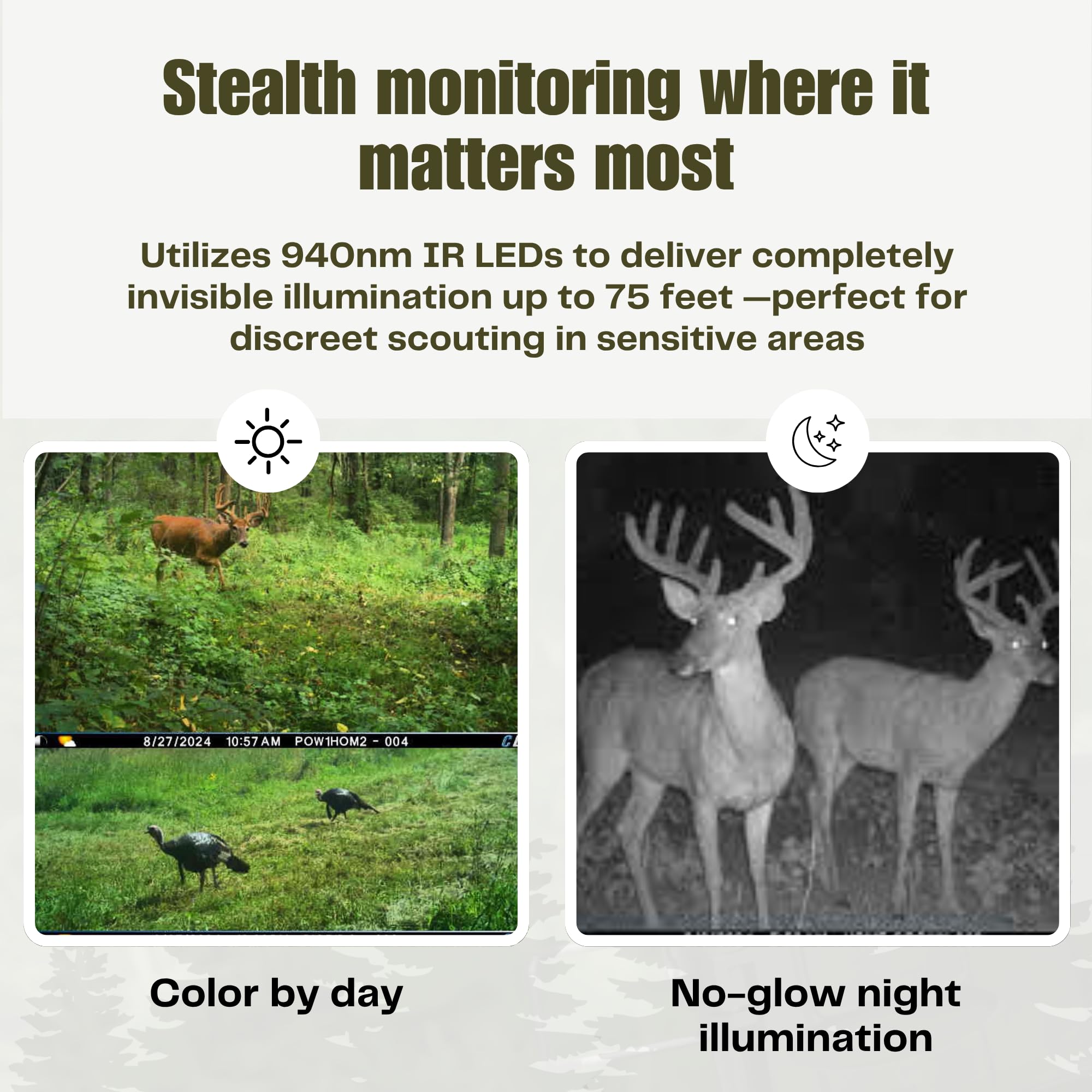 Cuddeback Tracks Trail Camera
