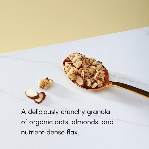 Nature's Path Organic Granola, 11.5 Ounce (Pack of 6)
