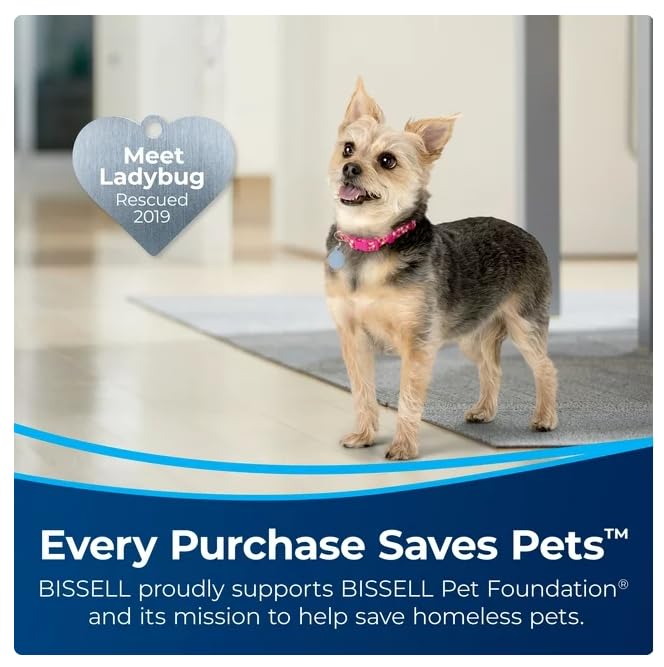 Bissell Pet Stain Eraser Duo, Black